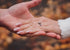 products/Half_Eternity_Titanium_Ring.jpg