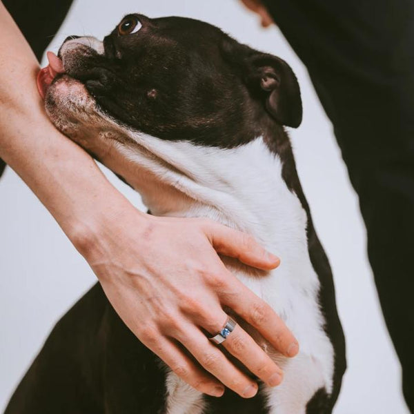 Proxima with Aquamarine