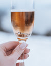 Ring in the New Year with a New Titanium Ring!
