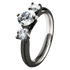 Elizabeth - Black-none-Titanium Rings