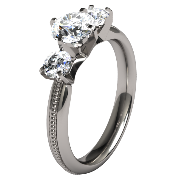 Elizabeth Canadian Diamond-none-Titanium Rings