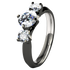 Nefertiti Diamond - Black-none-Titanium Rings