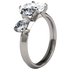 Nefertiti Diamond-none-Titanium Rings