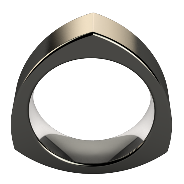 Prism Black-none-Titanium Rings