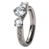 Victoria Diamond-none-Titanium Rings